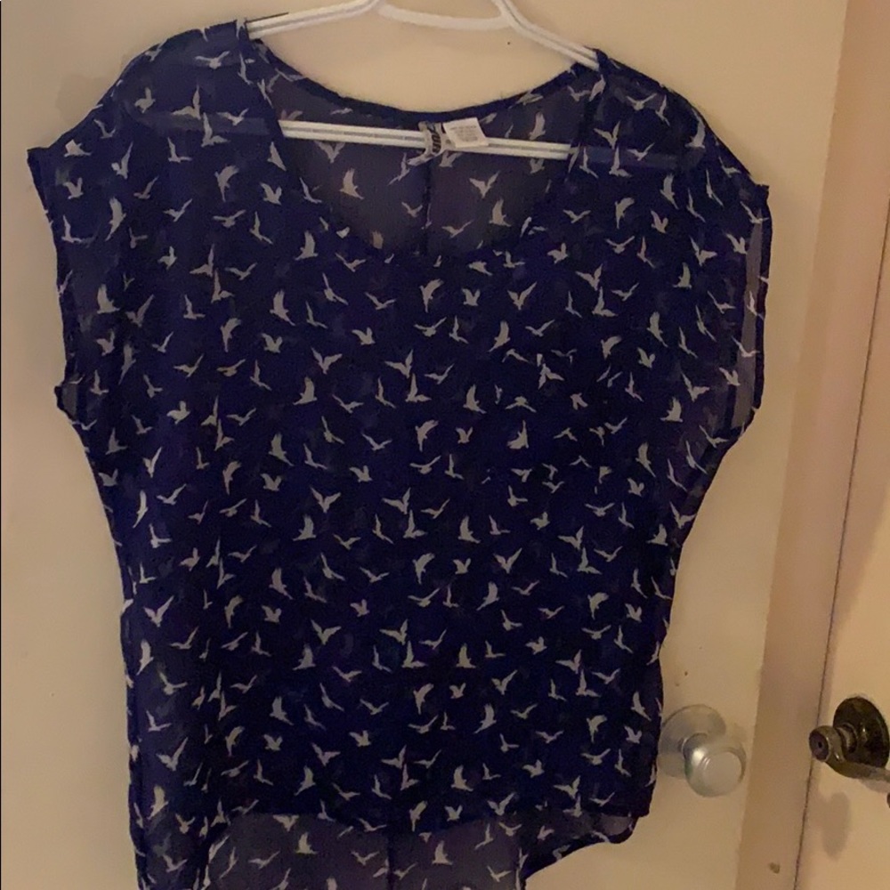 Sheer blue top